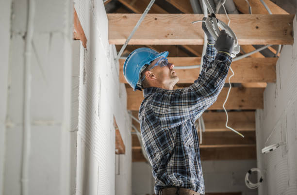 Best Electrical System Inspection  in Hotchkiss, CO