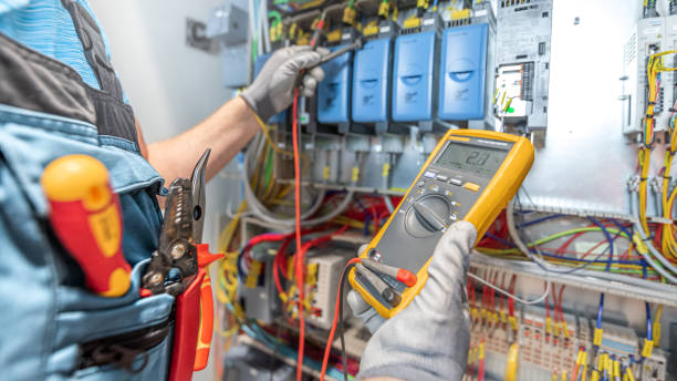 Best Electric Panel Repair  in Hotchkiss, CO